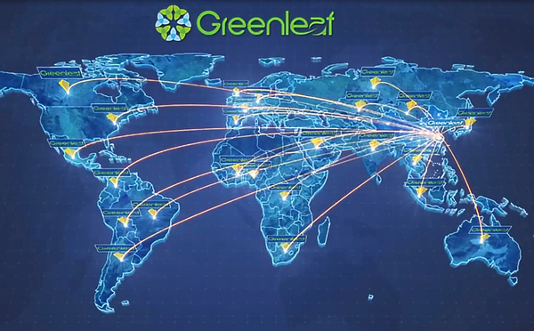 Презентация компании Greenleaf 2024